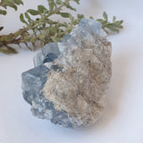 Celestite Cluster