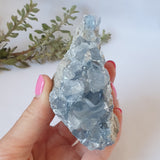 Celestite Cluster