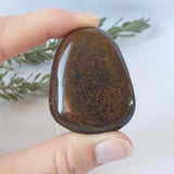 Bronzite Necklace - Silver