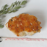 Citrine Cluster Length 8.5 cm