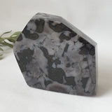 Indigo Gabbro Crystal Australia