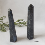 Larvikite crystal Size 1 point