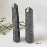Larvikite crystal Size 1 point