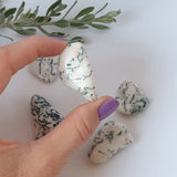 Tree Agate Tumbled