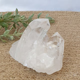 Clear Quartz Cluster
