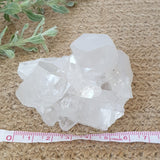 Clear Quartz Cluster