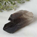 Smoky Quartz Cluster