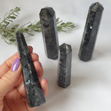 Larvikite Size 1 point colour