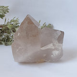 Smoky Quartz Cluster
