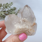 Smoky Quartz Cluster