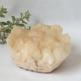 Stilbite Zeolite