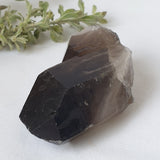 Smoky Quartz Cluster