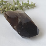 Smoky Quartz Cluster