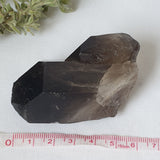 Smoky Quartz Cluster