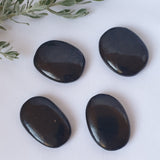 Shungite Plam Stone