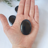 Shungite Plam Stone