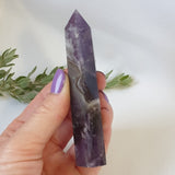 Chevron Amethyst Point