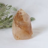 Golden Healer Point