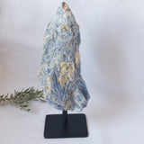 Blue Kyanite on Stand
