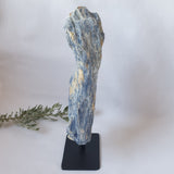 Blue Kyanite on Stand