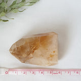 Golden Healer Point