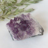 Amethyst Druse