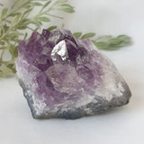 Amethyst Druse