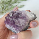 Amethyst Druse