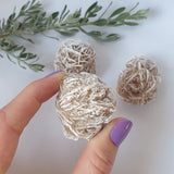 Desert Rose Cluster