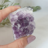 Amethyst Druse