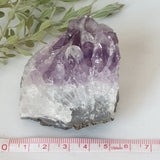 Amethyst Druse